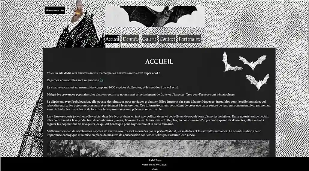 Accueil du site chauves-souris