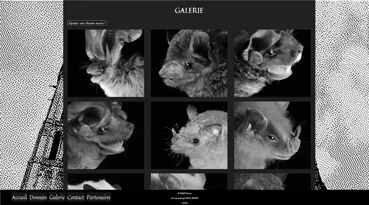 Galerie d'images